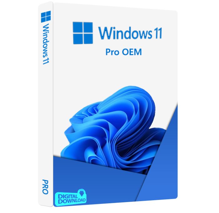 Windows 11 Pro OEM Lisans