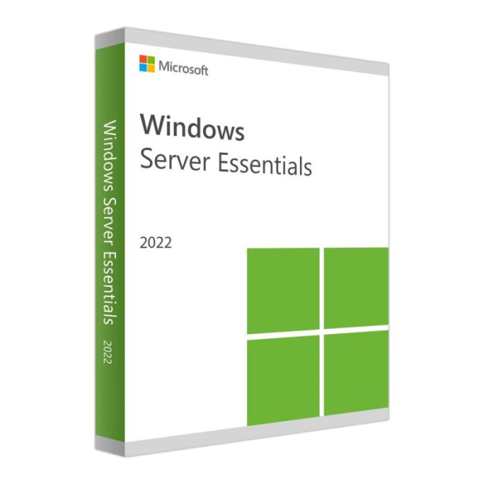 Windows Server 2022 Essentials